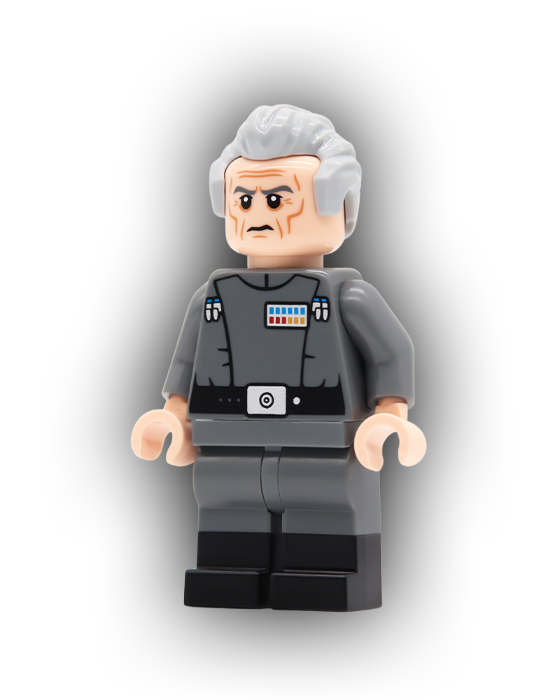The Grand Visionary Custom Minifigure