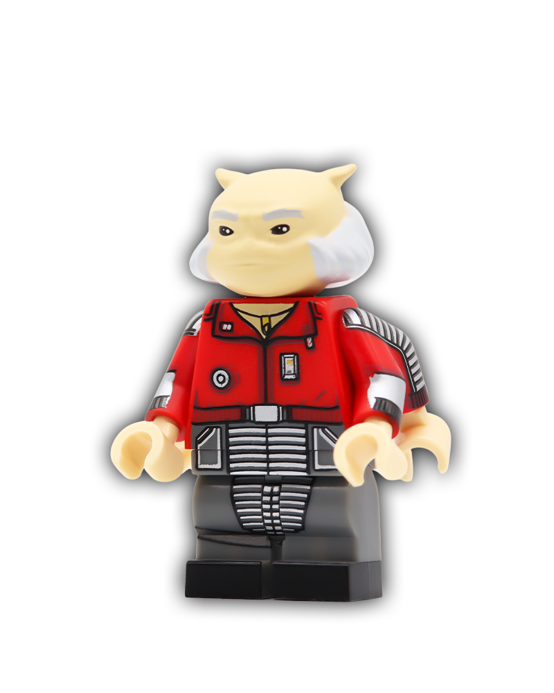 Mantis Master Custom Minifigure