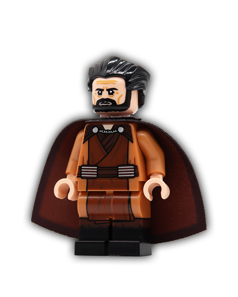 Regal Master Custom Minifigure