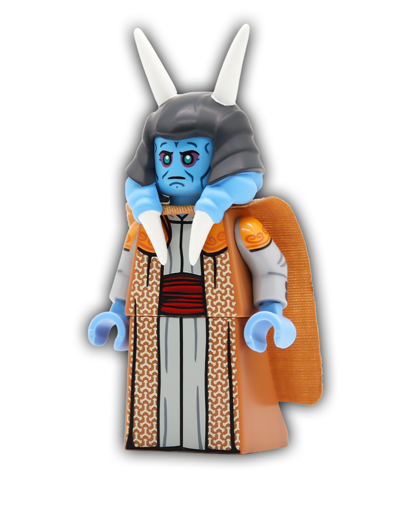 The Armored Vizer Custom Minifigure