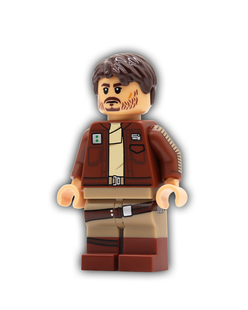 Rebel Captain Custom Minifigure