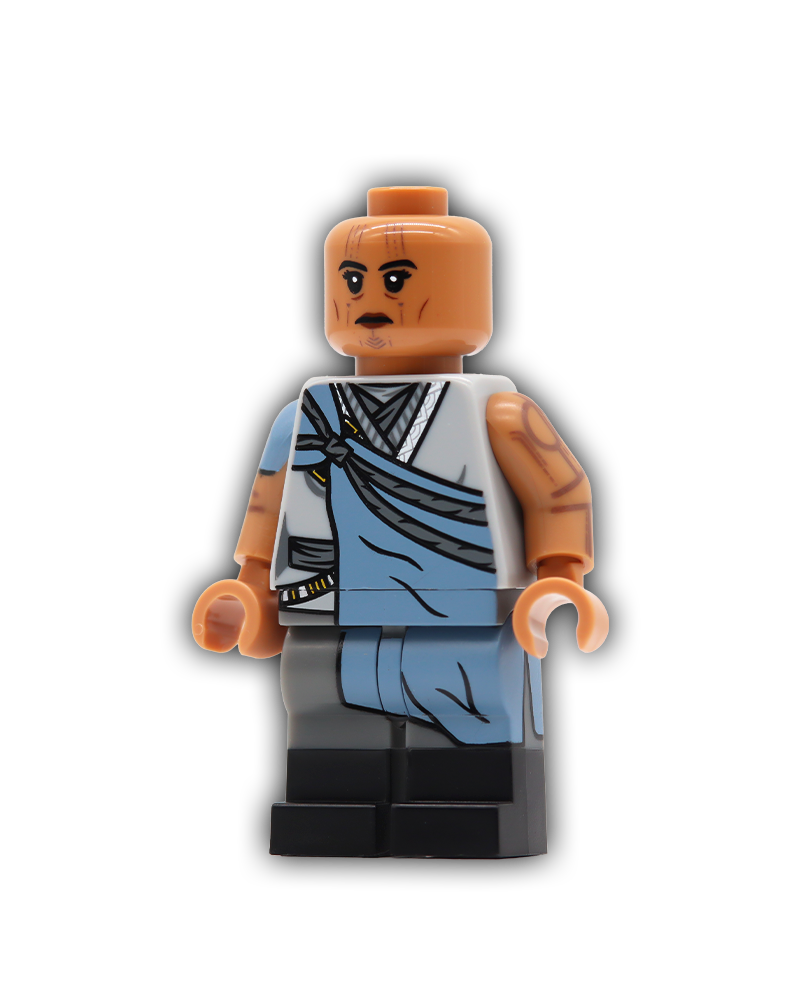 Fearless Master Custom Minifigure