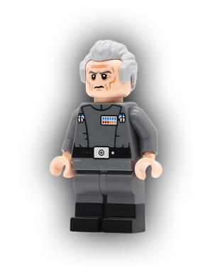 The Grand Visionary Custom Minifigure