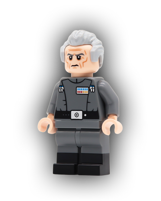 The Grand Visionary Custom Minifigure