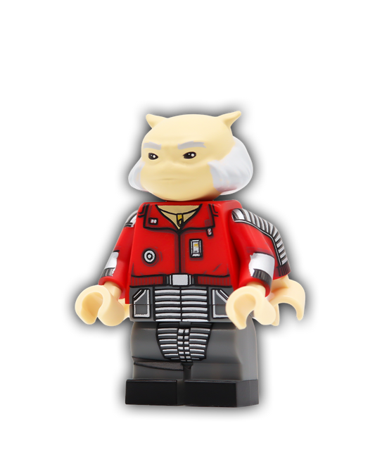 Mantis Master Custom Minifigure