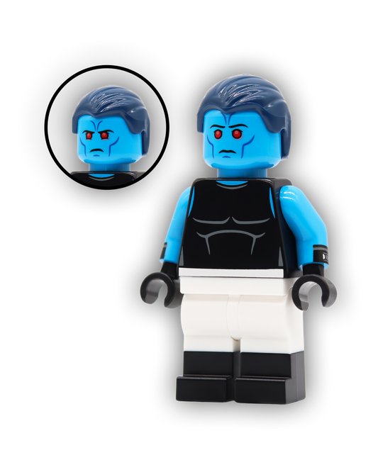 The Grand Trainer Custom Minifigure