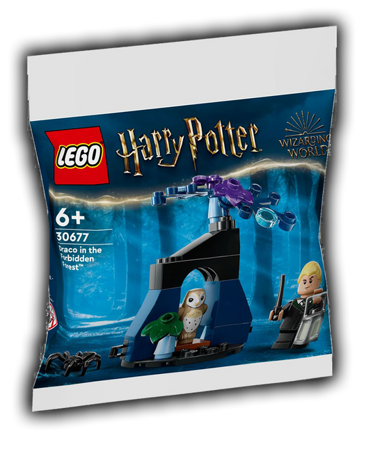 LEGO 30677 Draco in the Forbidden Forest Polybag - BricksAndFigsDE