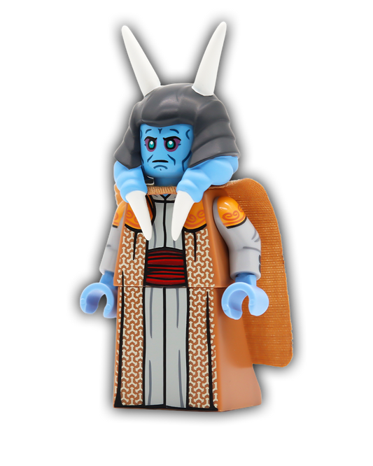 The Armored Vizer Custom Minifigure