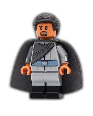 Rogue Royal Custom Minifigure