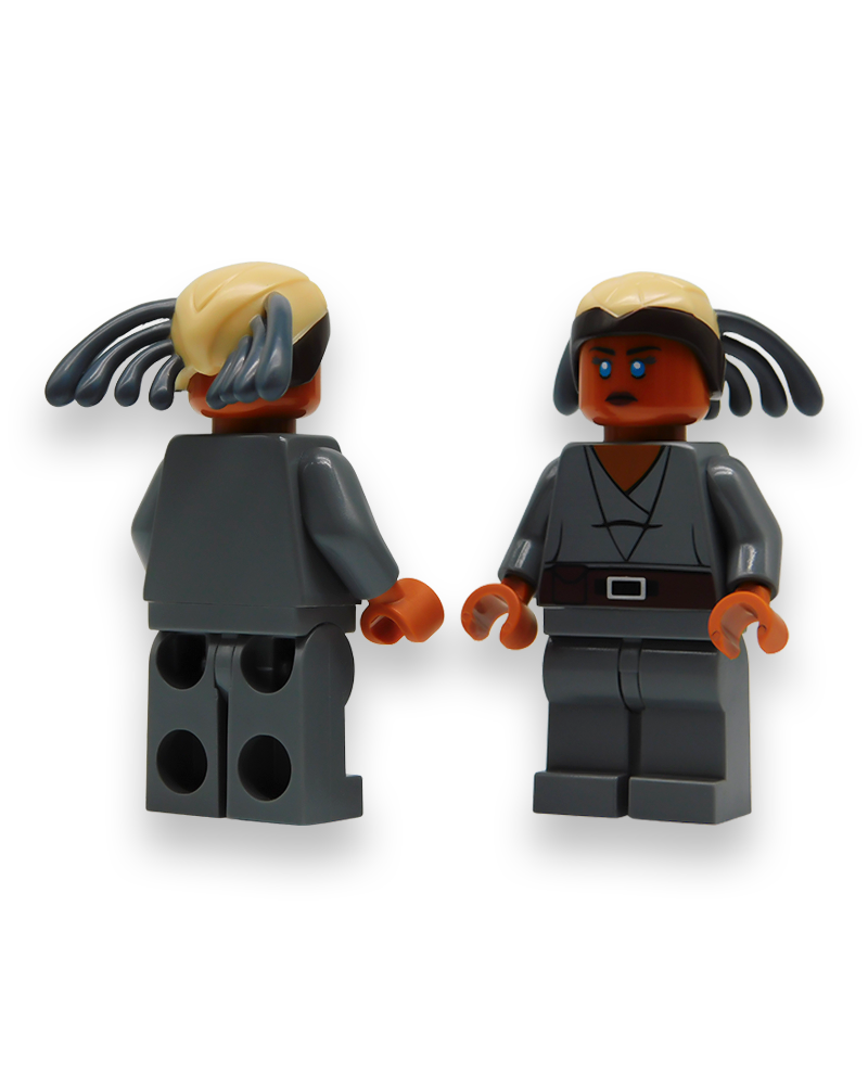 The Diplomatic Master Alt Color Custom Minifigure