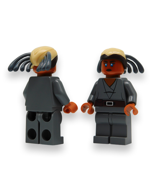 The Diplomatic Master Alt Color Custom Minifigure