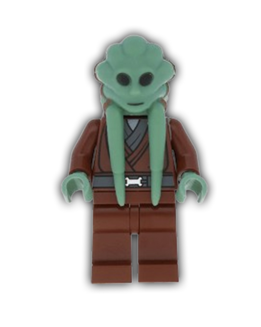 LEGO Star Wars Minifigure Kit Fisto (SW0163)