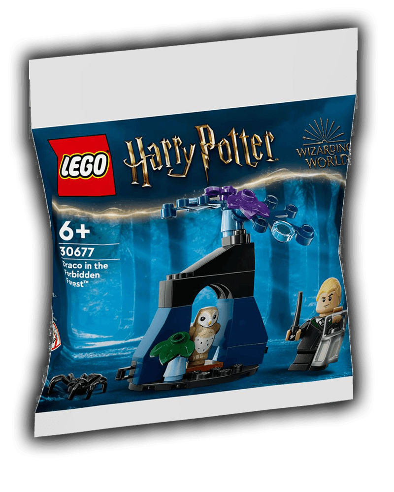 LEGO 30677 Draco in the Forbidden Forest Polybag - BricksAndFigsDE