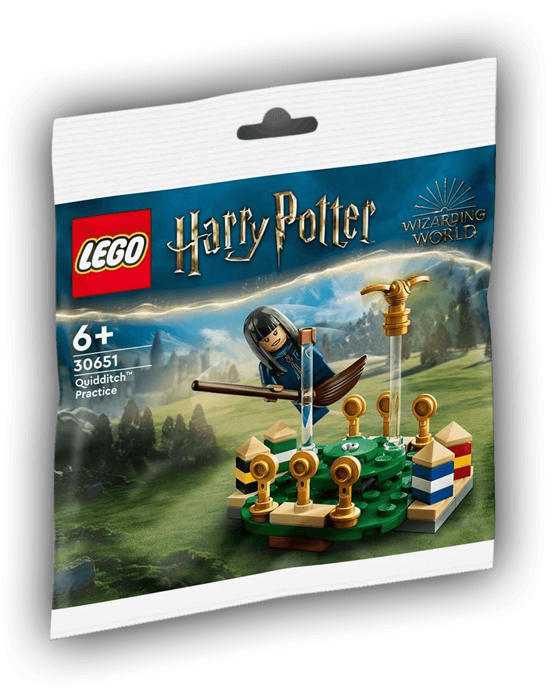 LEGO Harry Potter™ 30651 Quidditch Training - BricksAndFigsDE