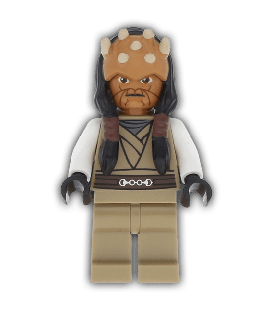 LEGO Star Wars Minifigure Eeth Koth (SW0332) - BricksAndFigsDE