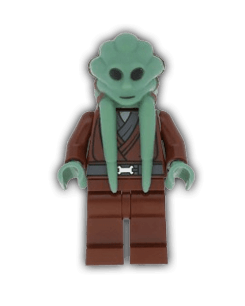 LEGO Star Wars Minifigure Kit Fisto (SW0163) - BricksAndFigsDE