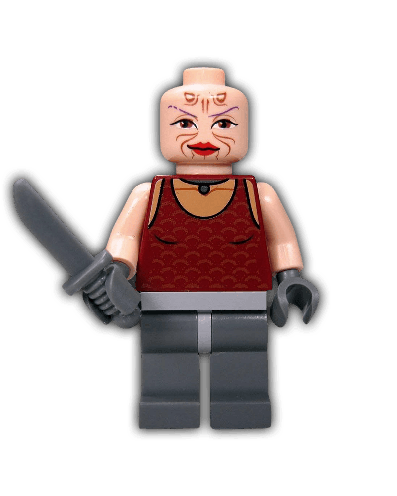 LEGO Sugi (SW0305) - BricksAndFigsDE