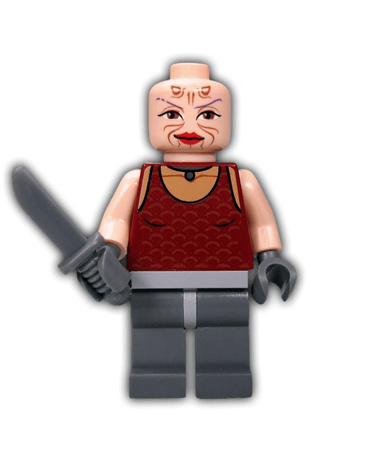 LEGO Sugi (SW0305) - BricksAndFigsDE