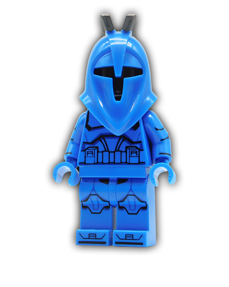 Senate Guard Custom Minifigure